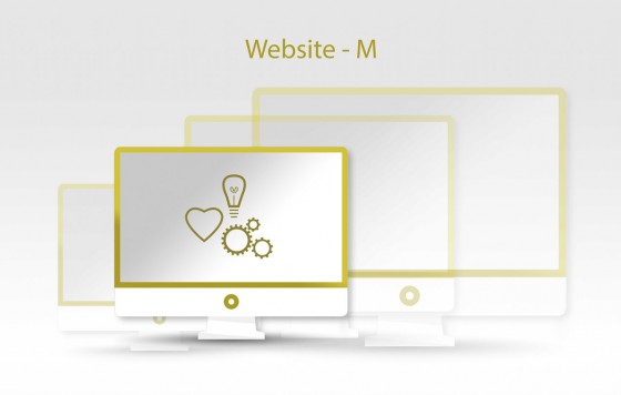 Website M
